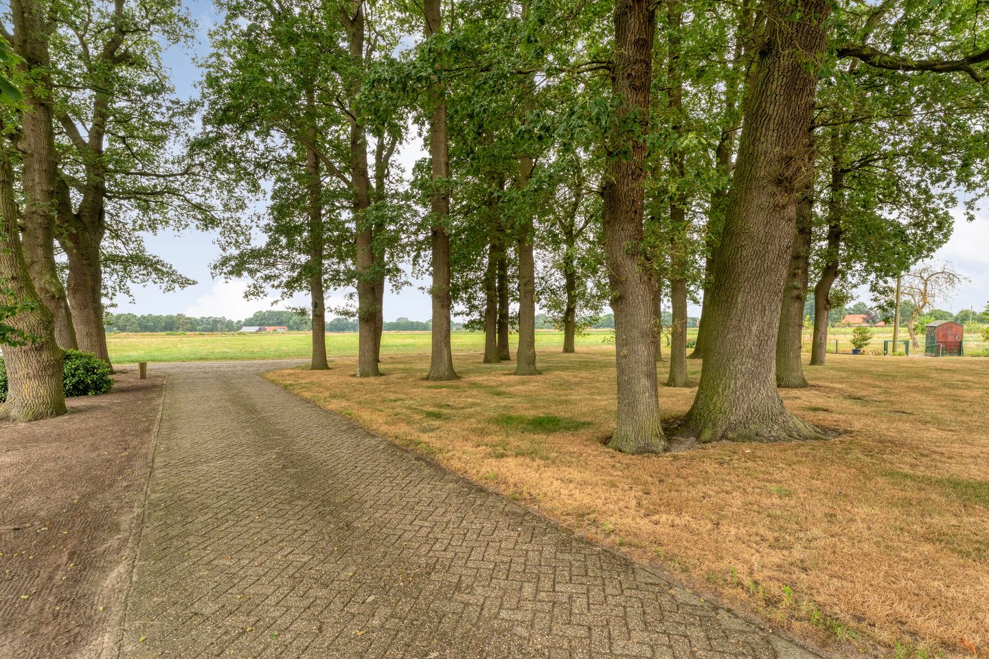 Foto 10 van Zur Vechte 2