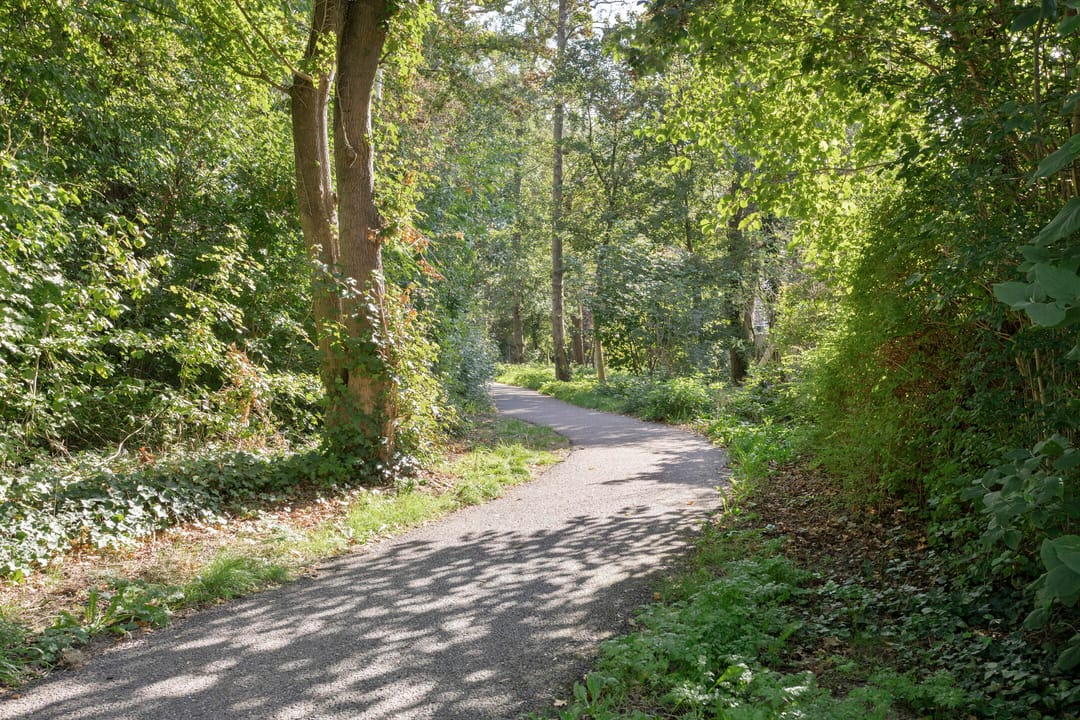 Foto 41 van Bosdijklaan 13