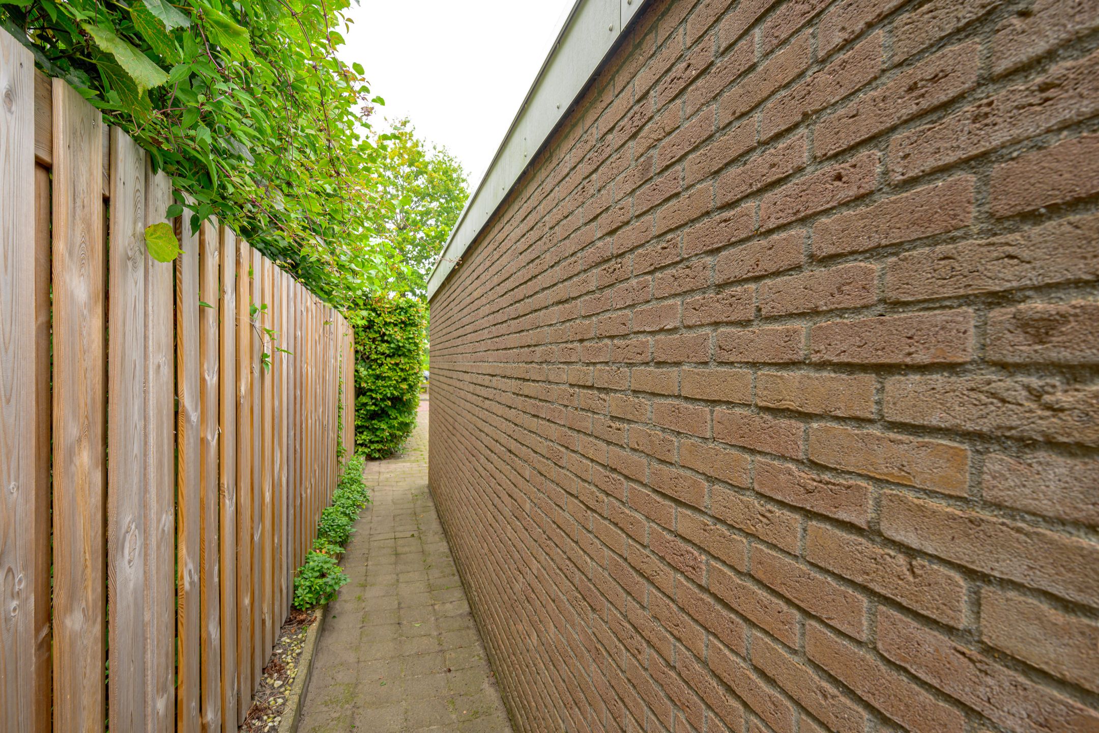 Foto 33 van Foksdiep 5