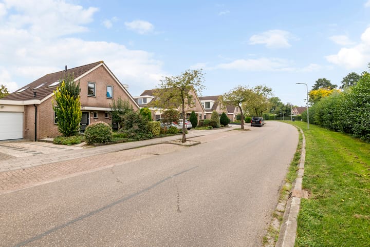 Foto 4 van Paulus Potterstraat 46