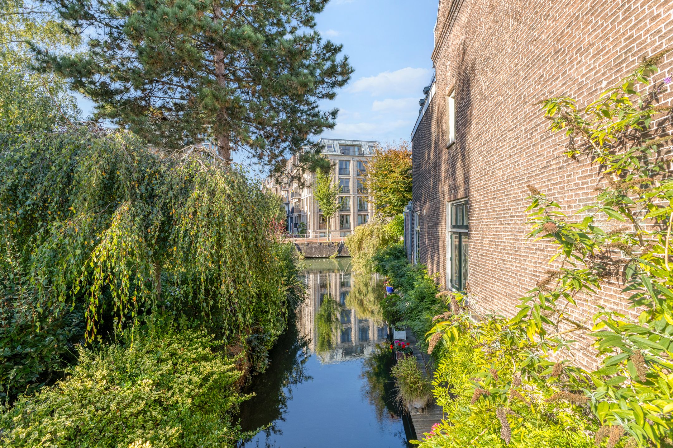 Foto 45 van Verenigingstraat 33