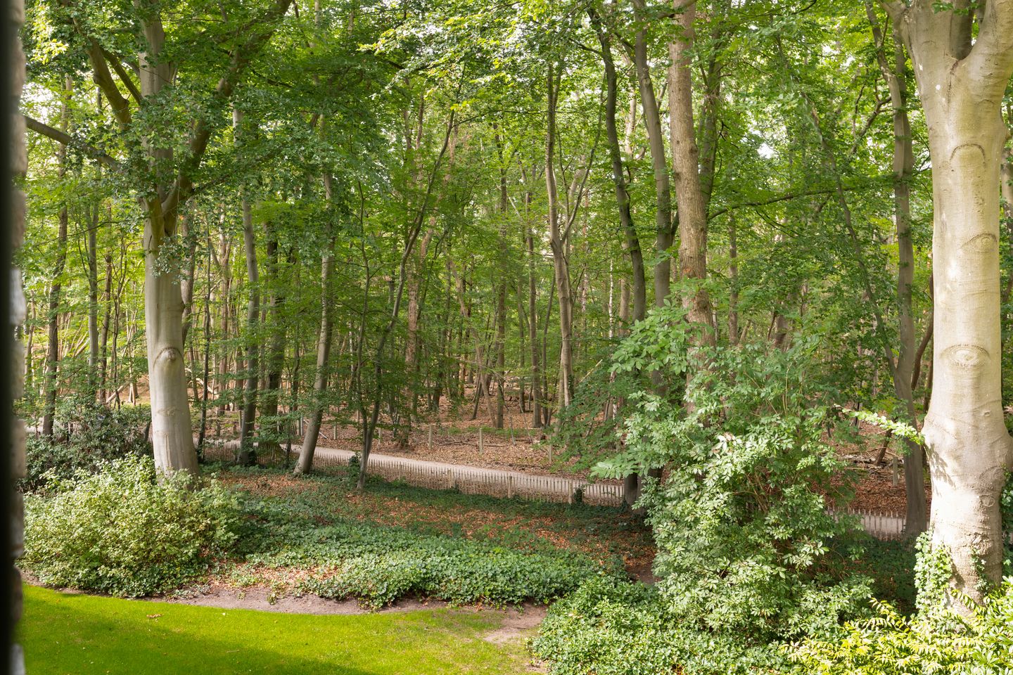 Photo 34 of Vivaldipark 36