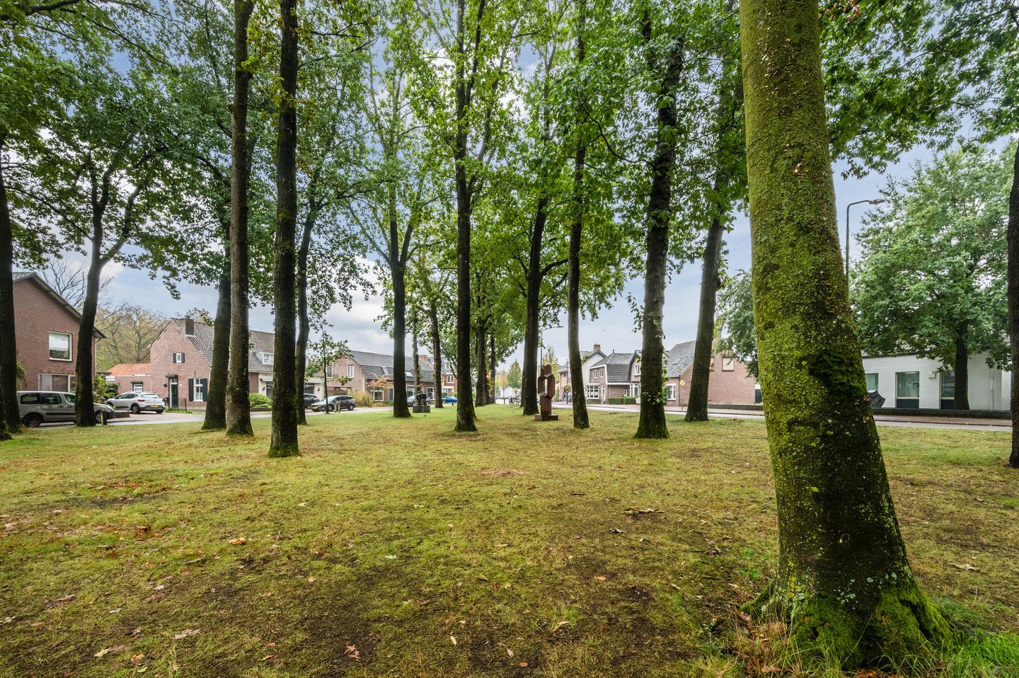Foto 50 van Geldropseweg 87