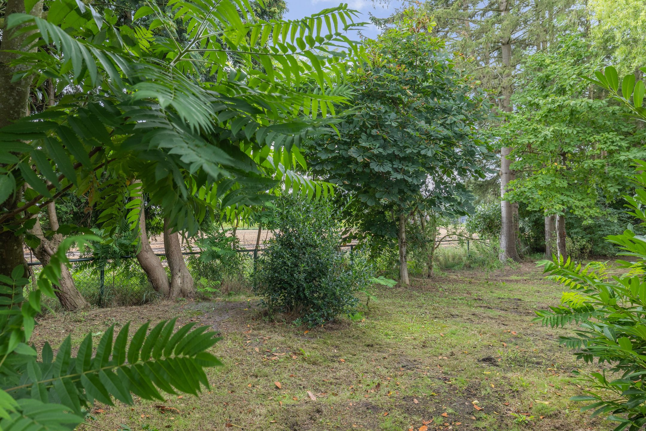 Foto 33 van Verlengde Tweede Groenedijk 11