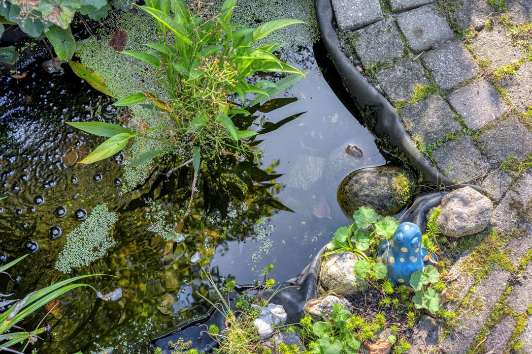 Photo 38 of Sweilandstraat 67