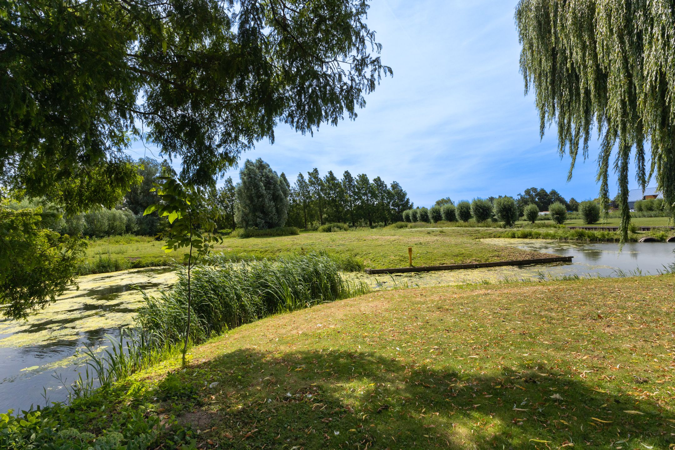 Photo 63 of Pruimendijk 172