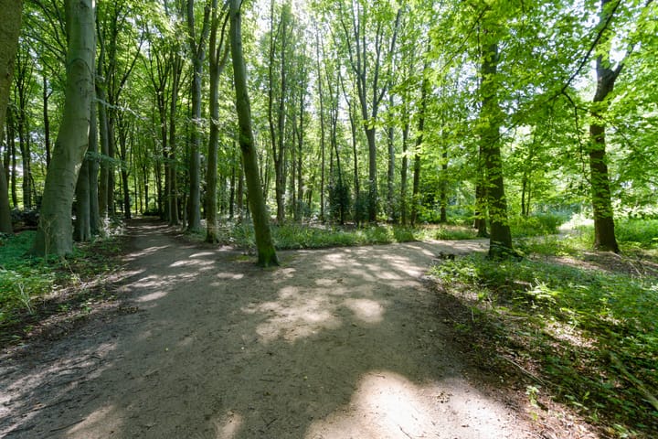 Woning te koop: Marelaan, Oegstgeest