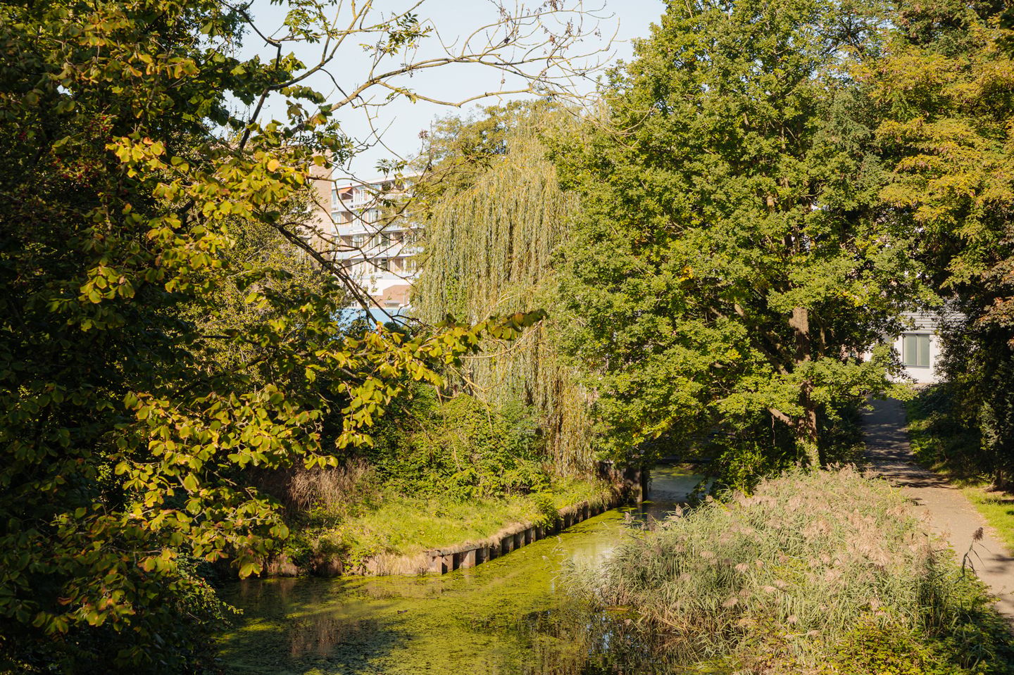 Foto 40 van Loosdrechtseweg 20