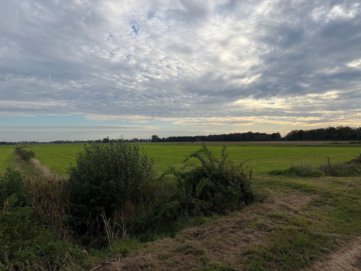 Bekijk foto 4 van 't Steegje