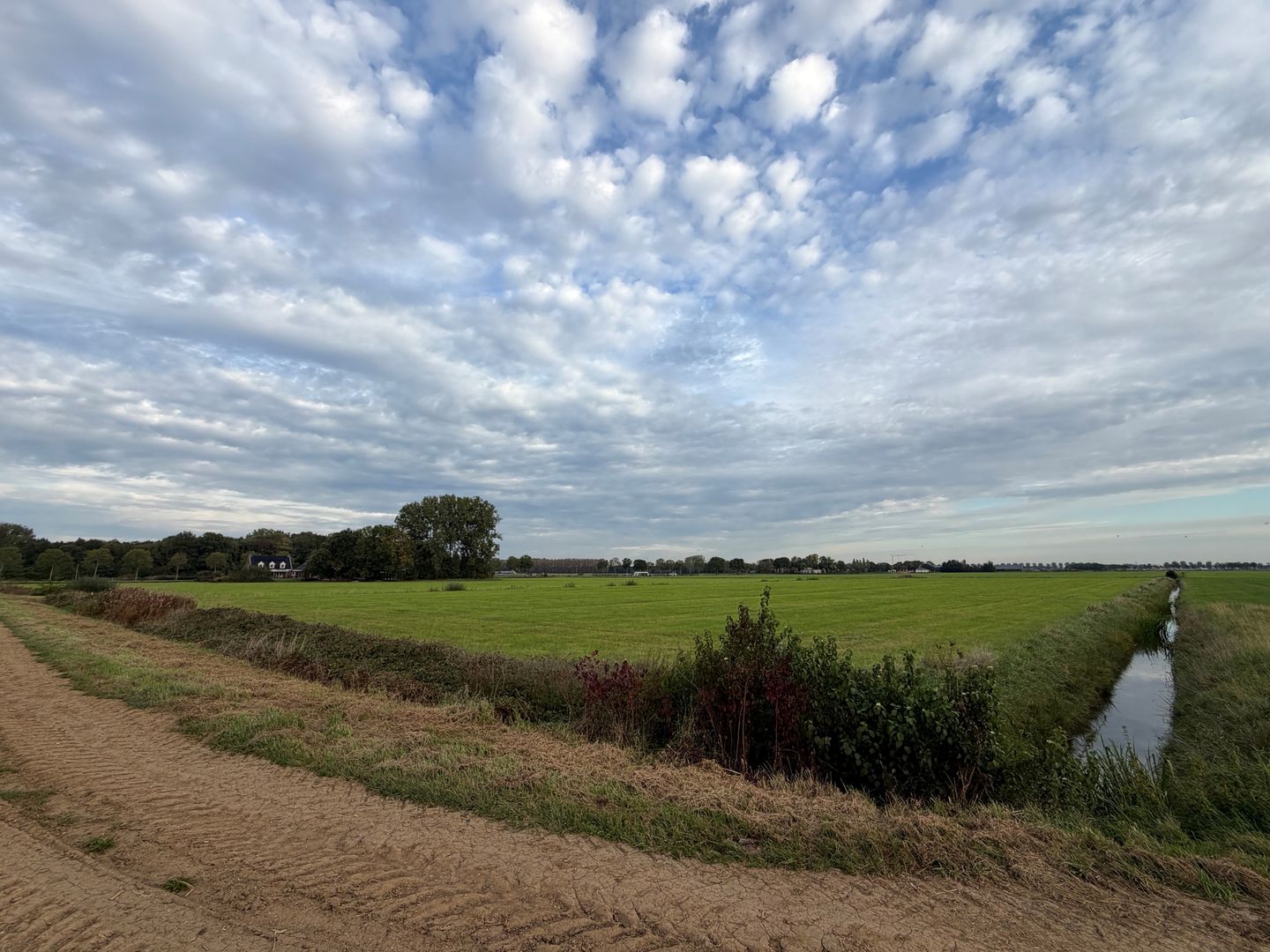 Bekijk foto 3 van 't Steegje