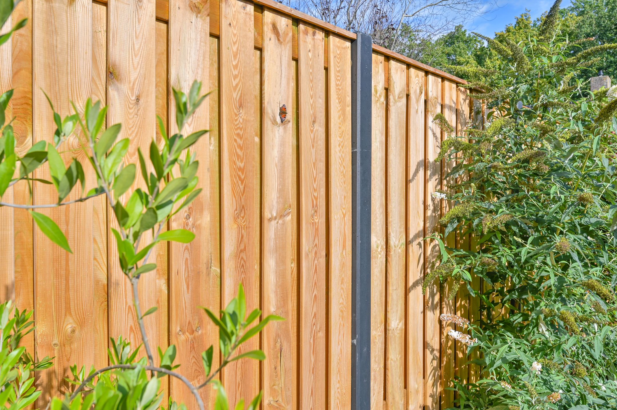 Foto 72 van Dopheide 22