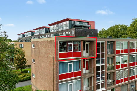 Pollenstein thumbnail