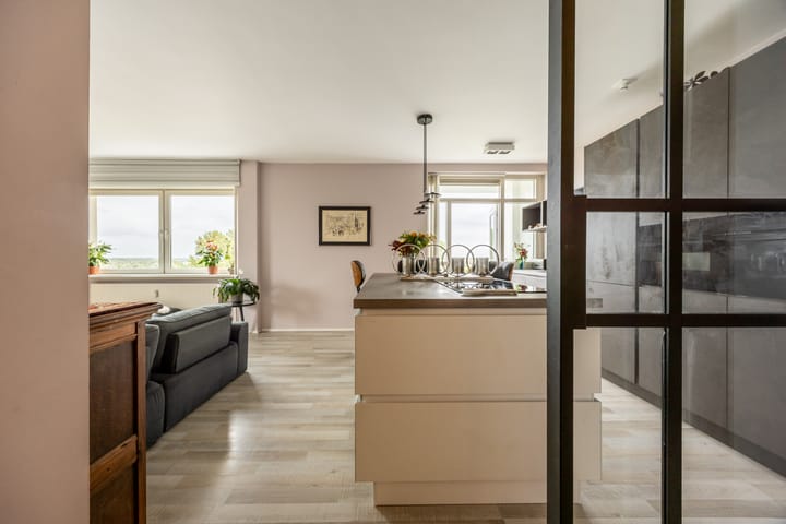 Appartement te koop: Professor Van der Scheerstraat 235, Haarlem