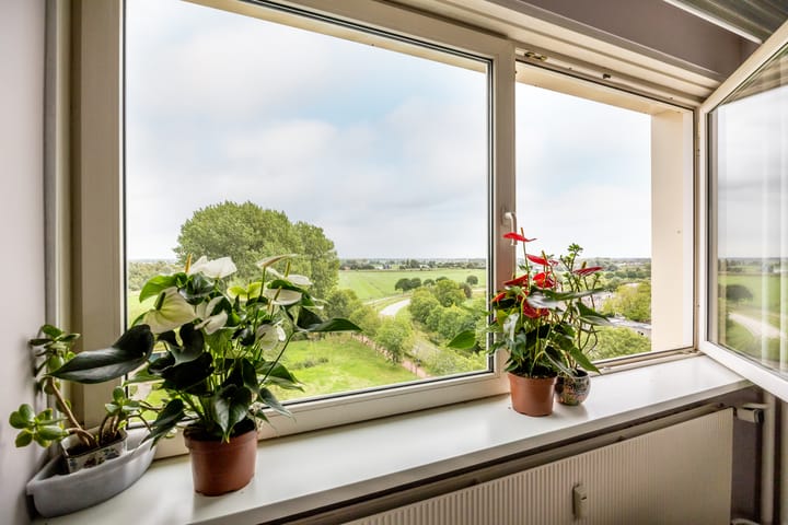 Appartement te koop: Professor Van der Scheerstraat 235, Haarlem