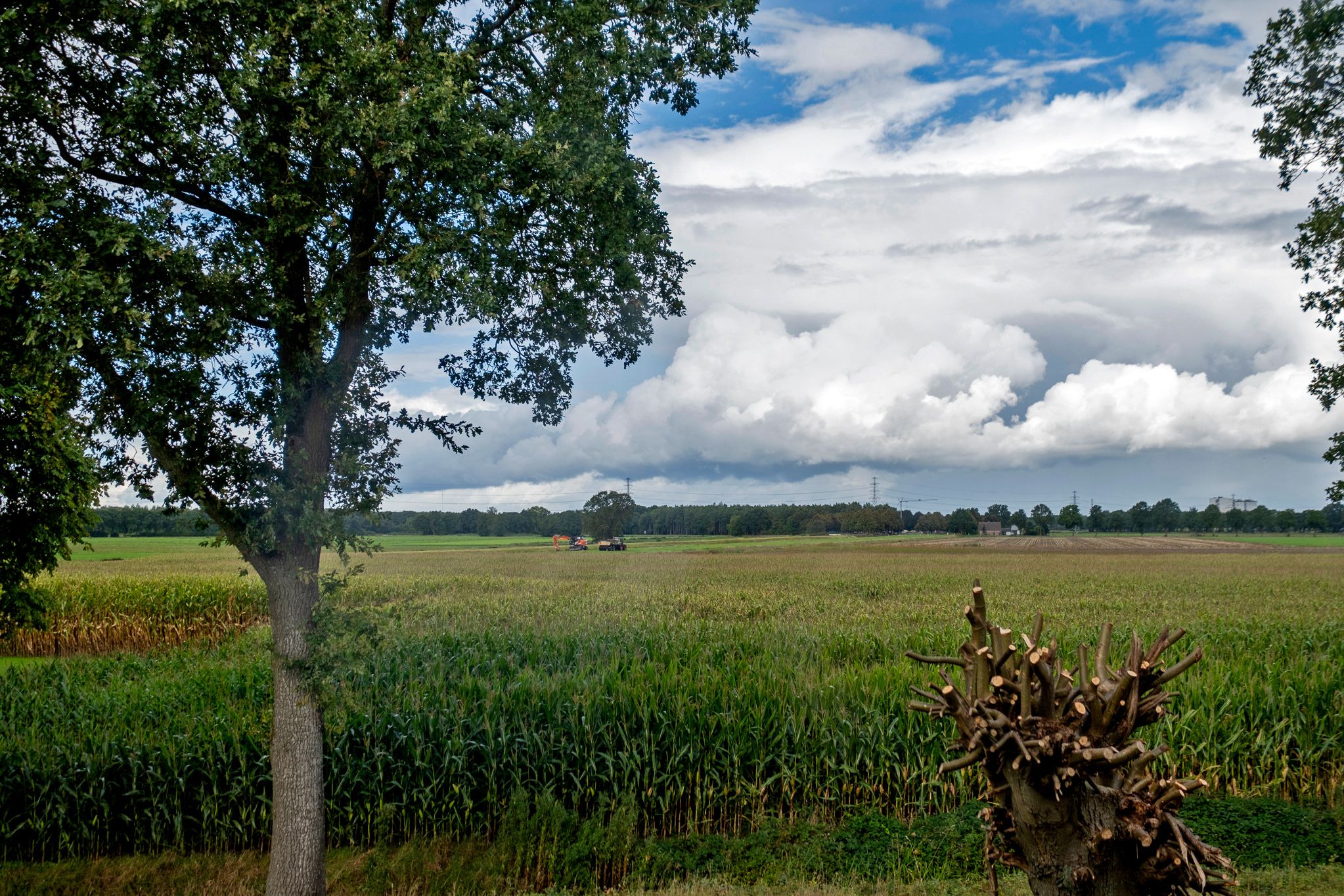 Photo 39 of Beilerweg 20