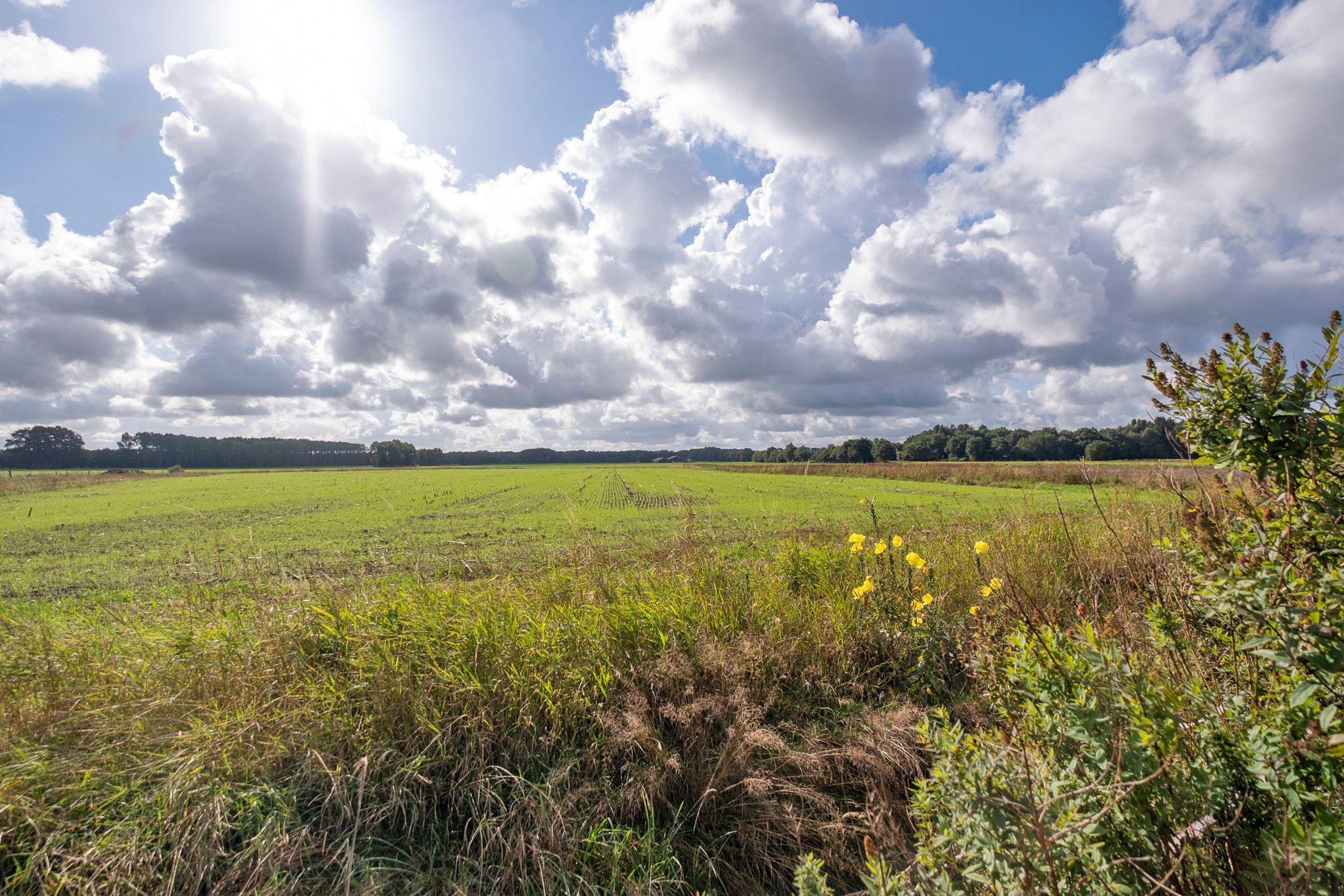 Photo 57 of Beilerweg 20