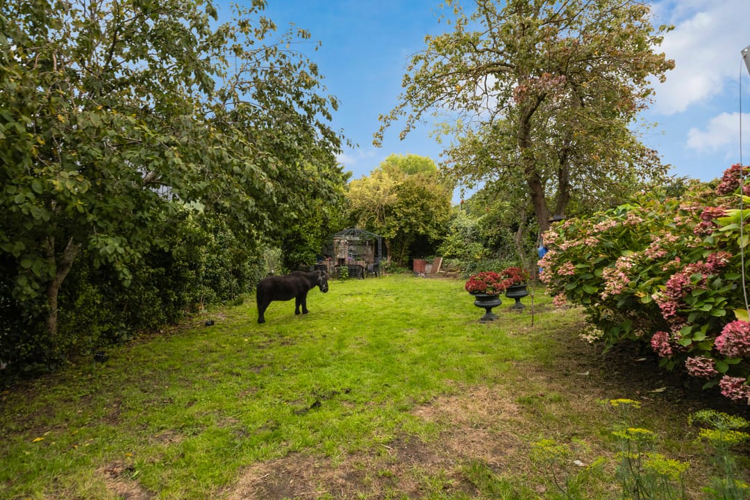 Photo 38 of Molendijk 69