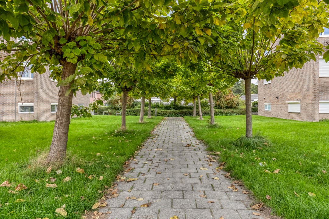 Foto 43 van Valckeslotlaan 81