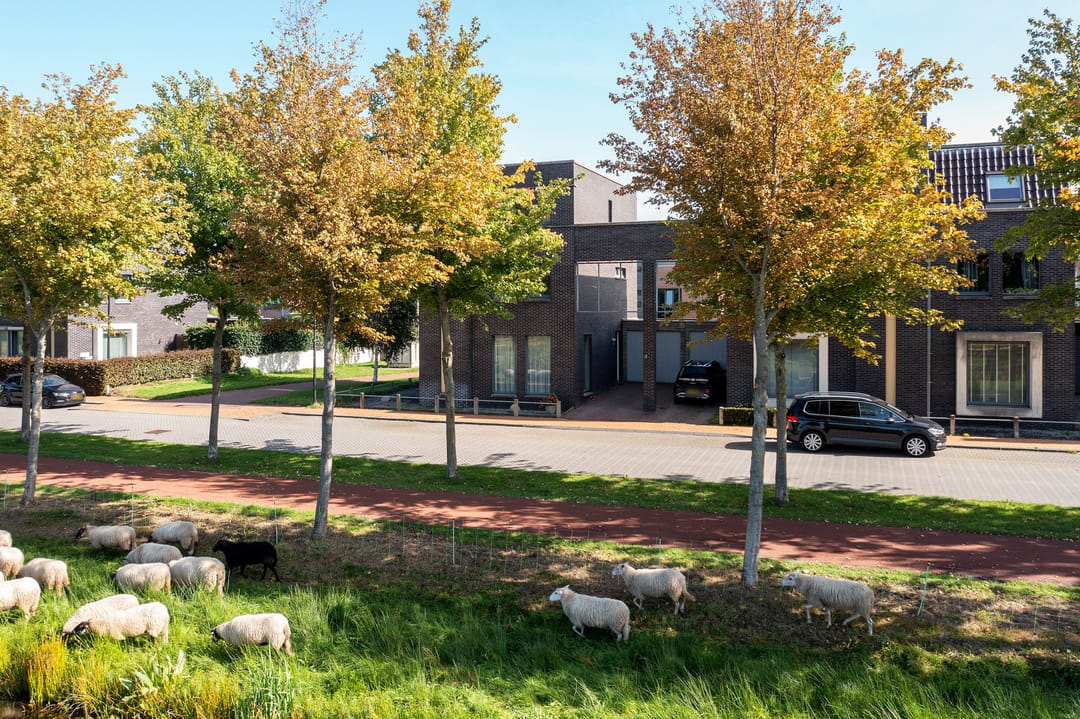 Photo 37 of Henriëtte Roland Holstweg 39