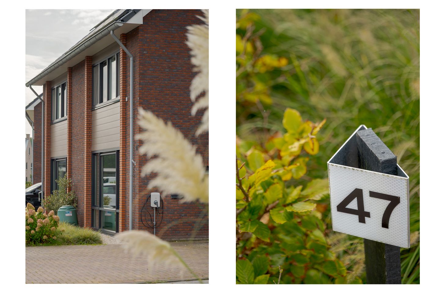 Photo 5 of Sleutelbloem 47