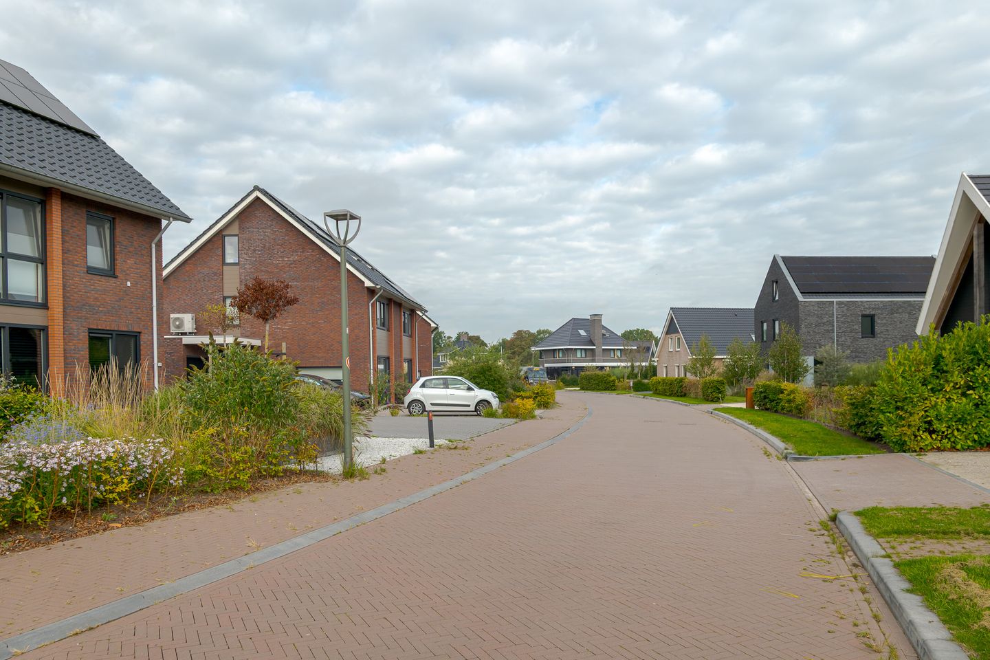 Photo 4 of Sleutelbloem 47