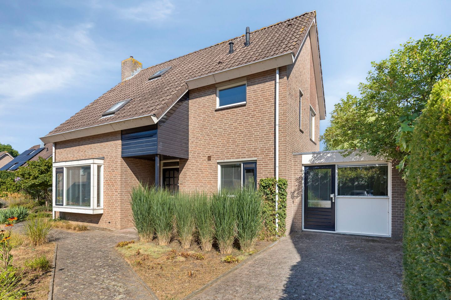 Foto 5 van de Timp 11