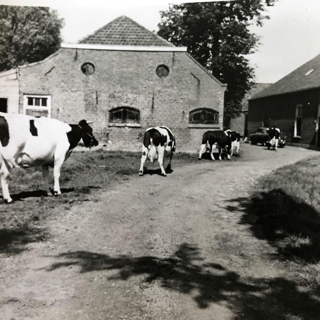 Foto 82 van Delftweg 254