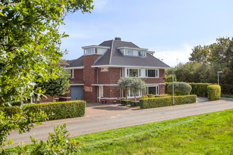 Doornweerd thumbnail