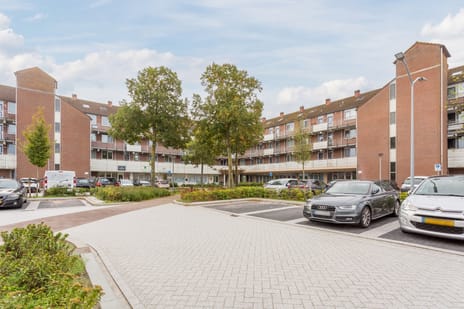 Ringdijk thumbnail