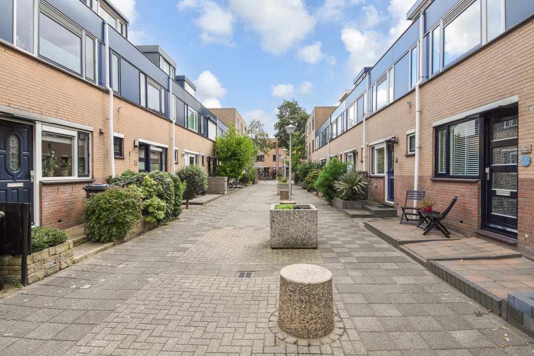 Foto 43 van Zilvermeeuw 15
