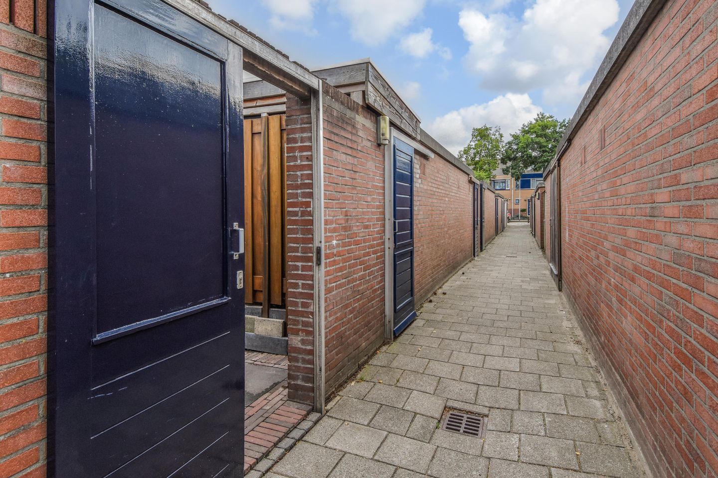Foto 44 van Zilvermeeuw 15
