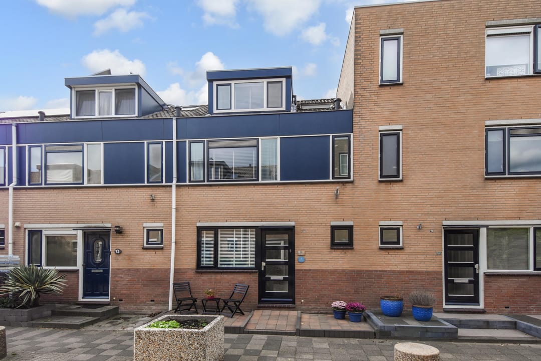 Foto 1 van Zilvermeeuw 15