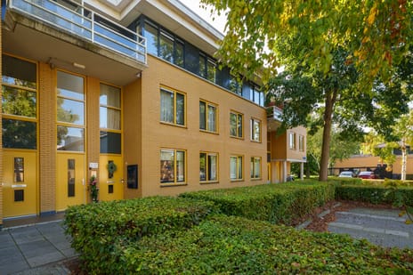Voorjaarstraat thumbnail