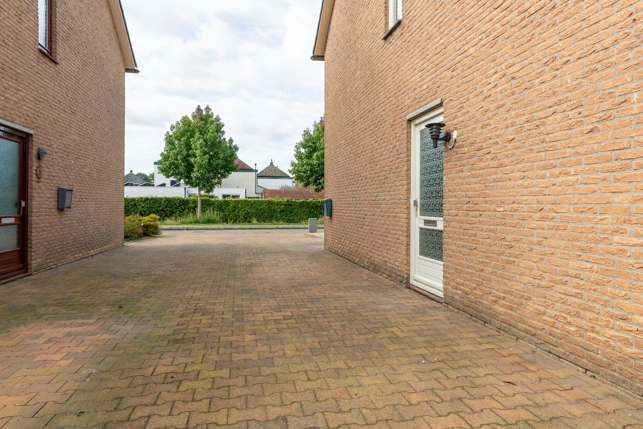 Photo 54 of Nieuwe Gagels 45