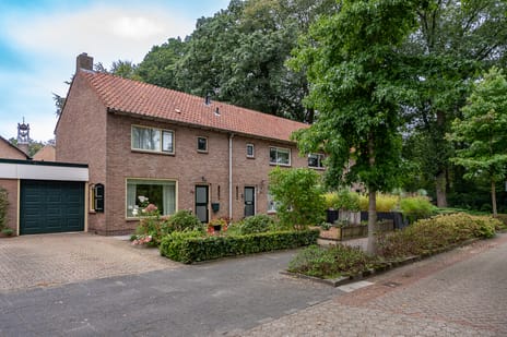 Dennenweg thumbnail