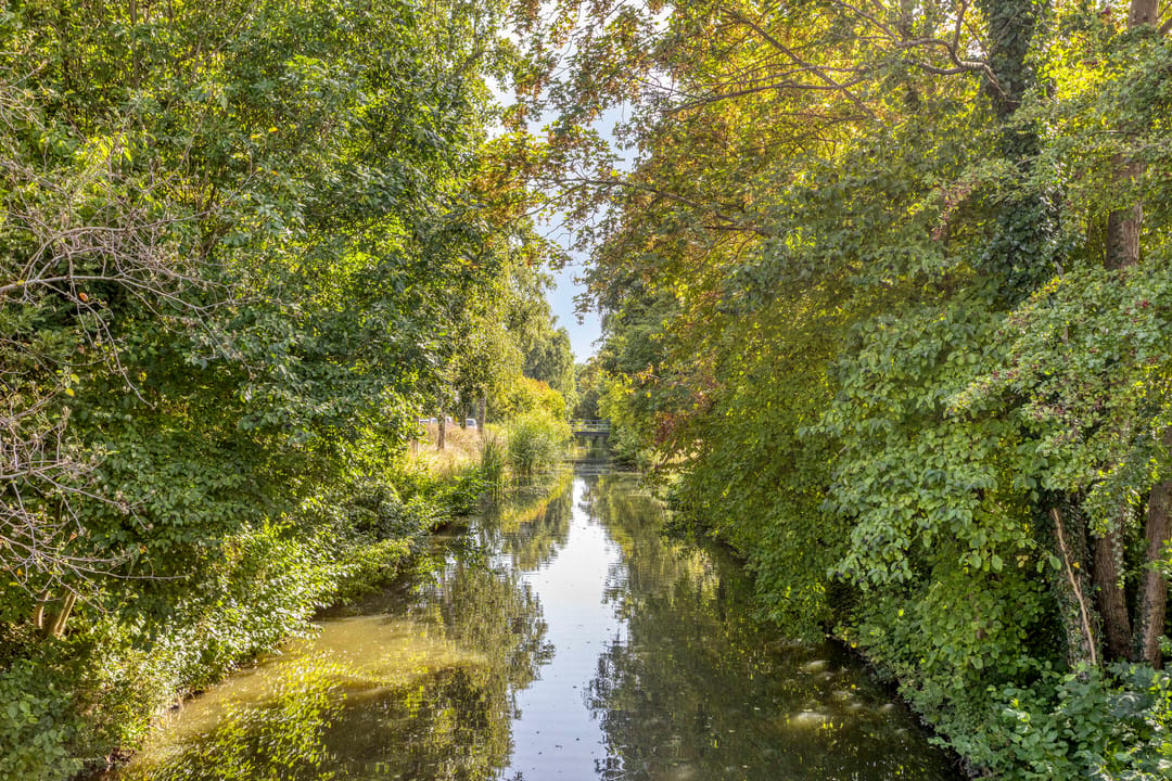 Photo 32 of Boekweitstraat 39