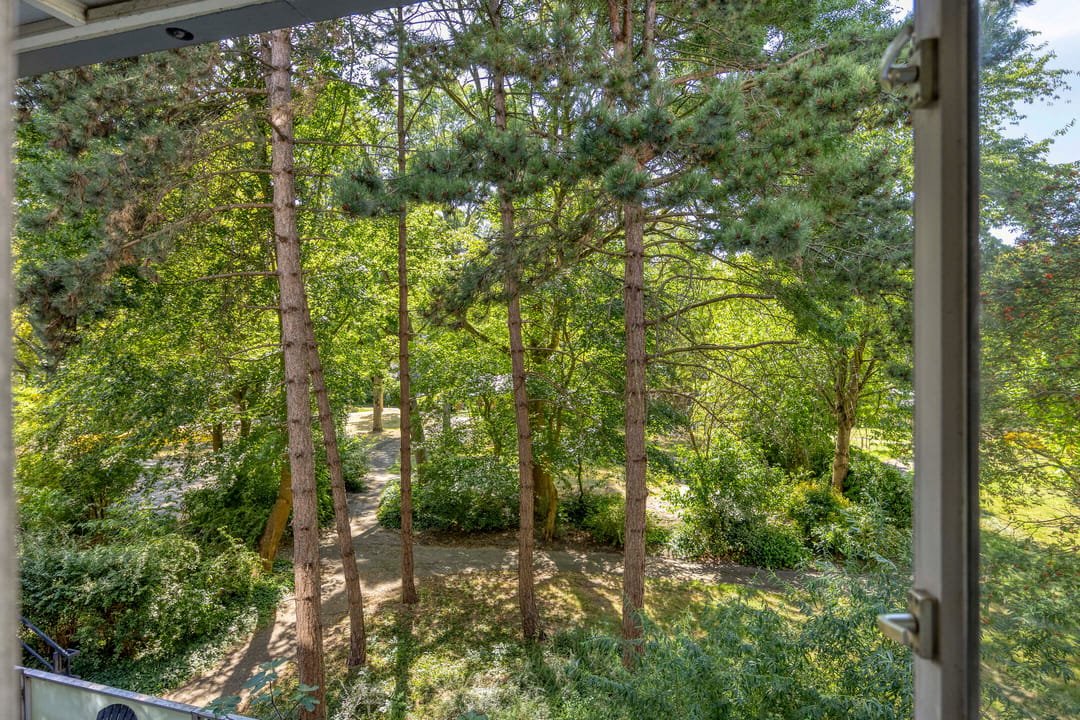 Photo 31 of Kardoenhof 15