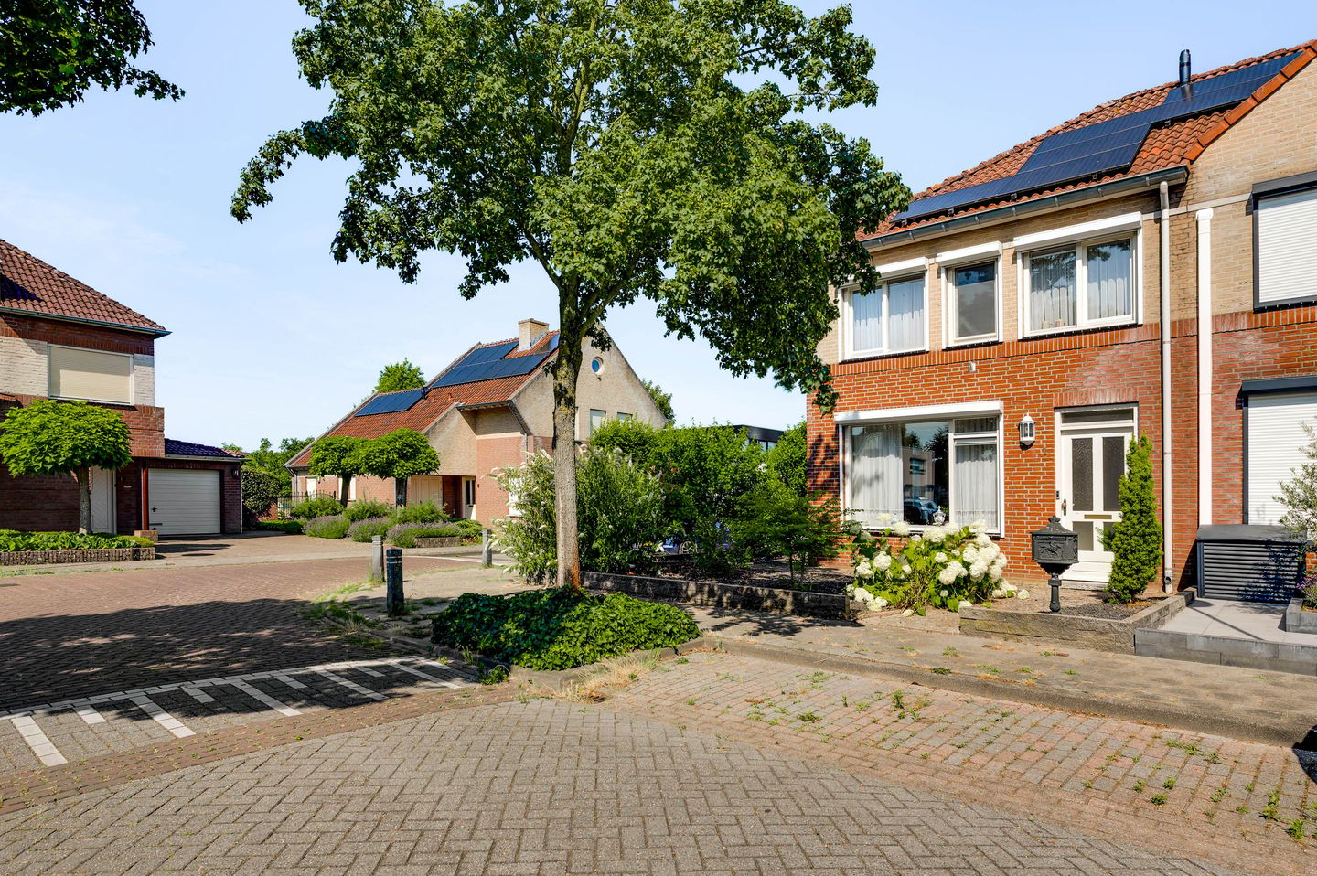 Photo 35 of Rinus Pereirastraat 1