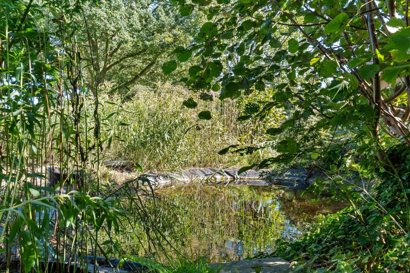 Foto 40 van Om de Landskroon 6
