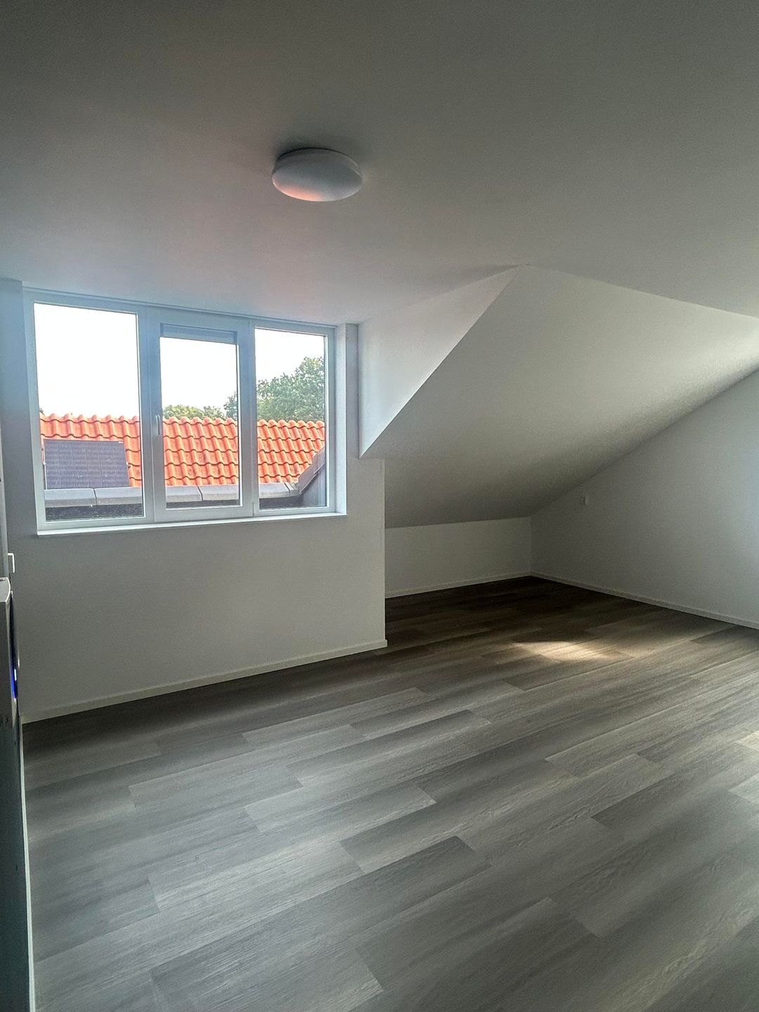 Photo 17 of Moerheimstraat 4-C