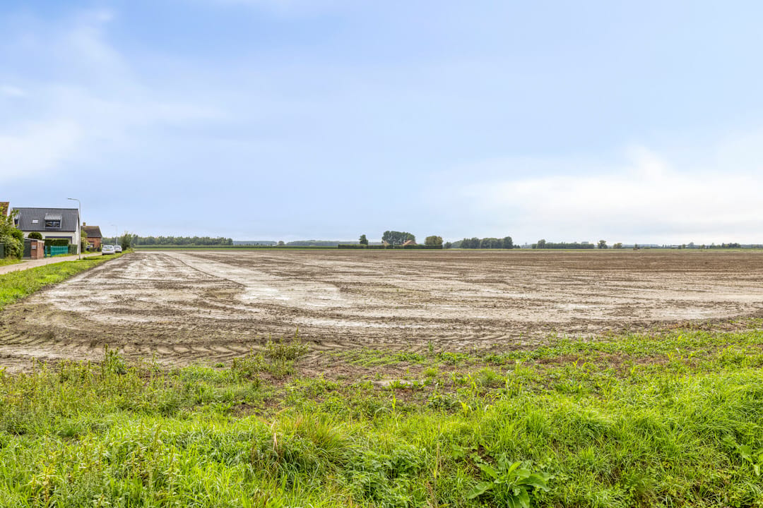 Photo 56 of Vosberg 6