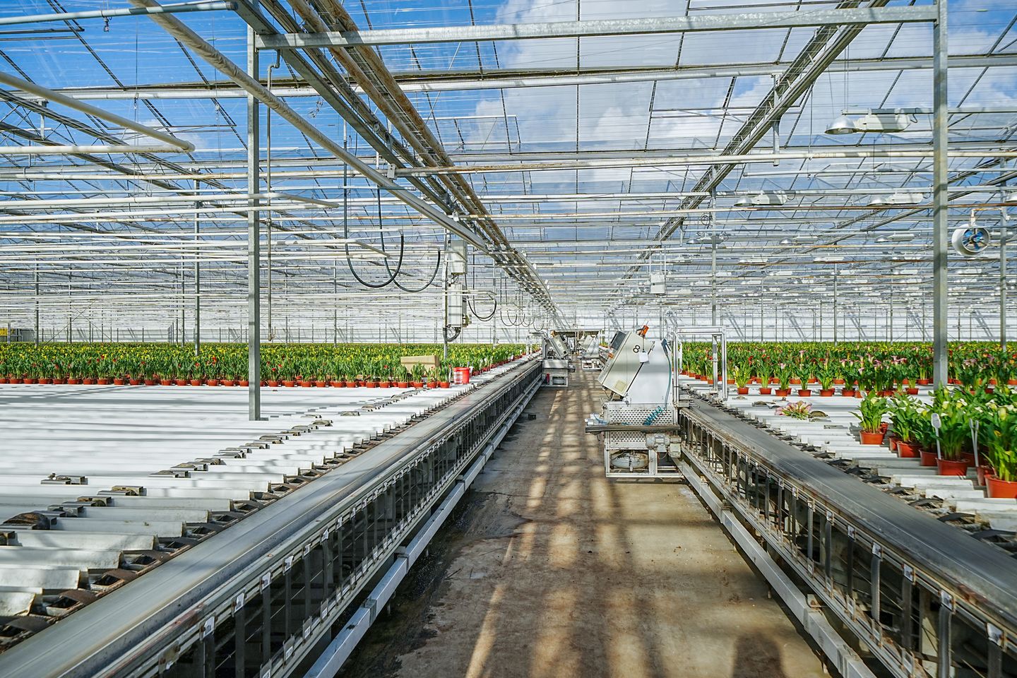 Overbuurtseweg 16 - Bleiswijk - Afbeelding 6