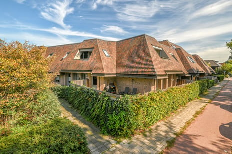 Beckeringhstraat thumbnail