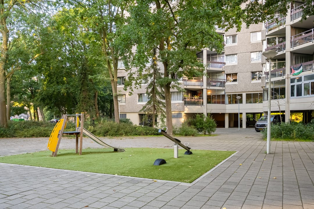 Foto 41 van Gouden Leeuw 224