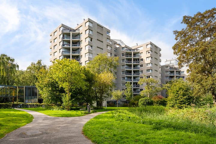 Foto 4 van Gouden Leeuw 224