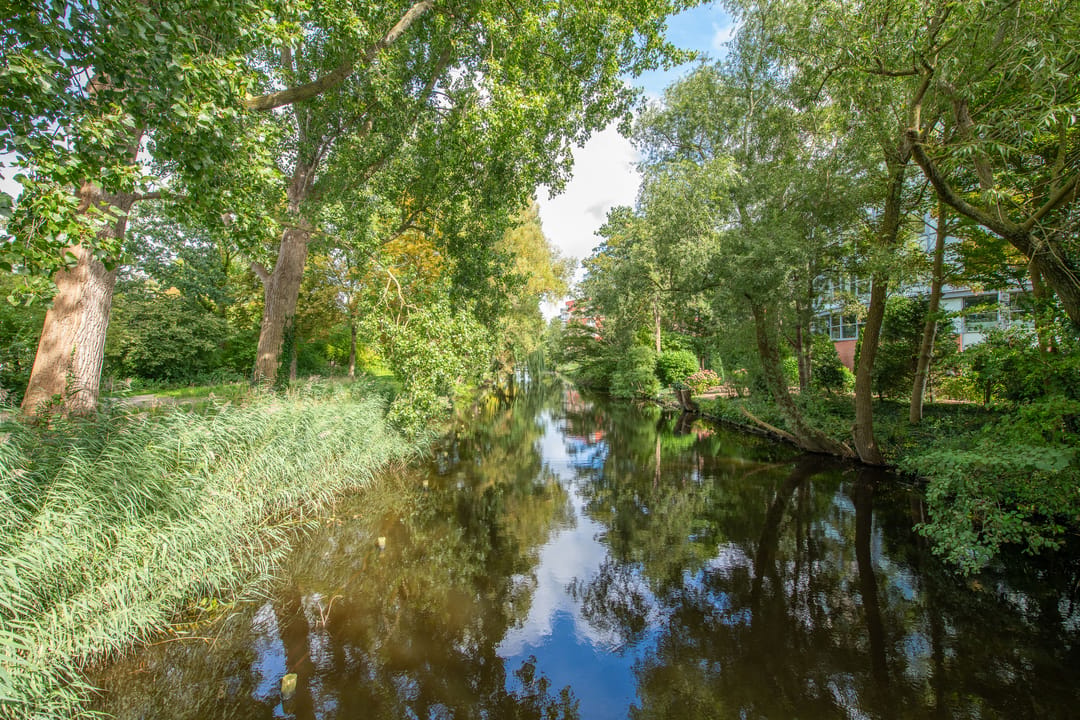 Photo 38 of Aert de Gelderlaan 140