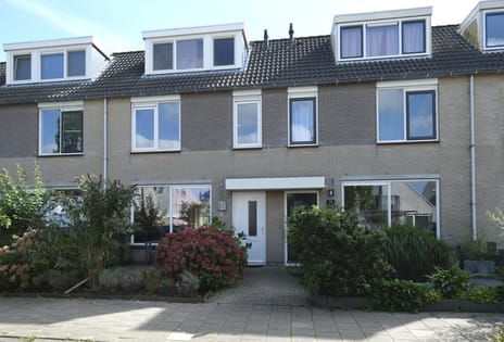 Moerbeeklaan thumbnail