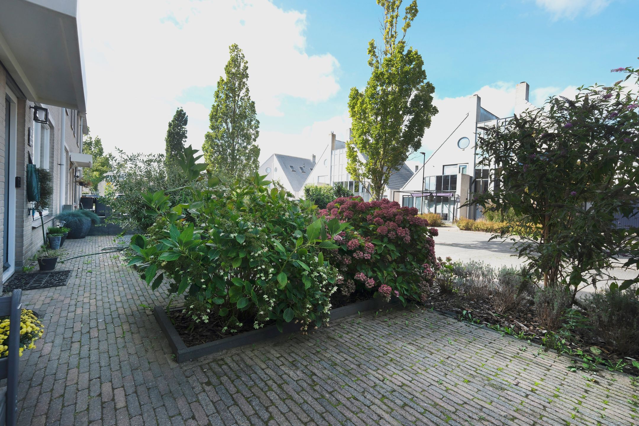 Photo 33 of Moerbeeklaan 9