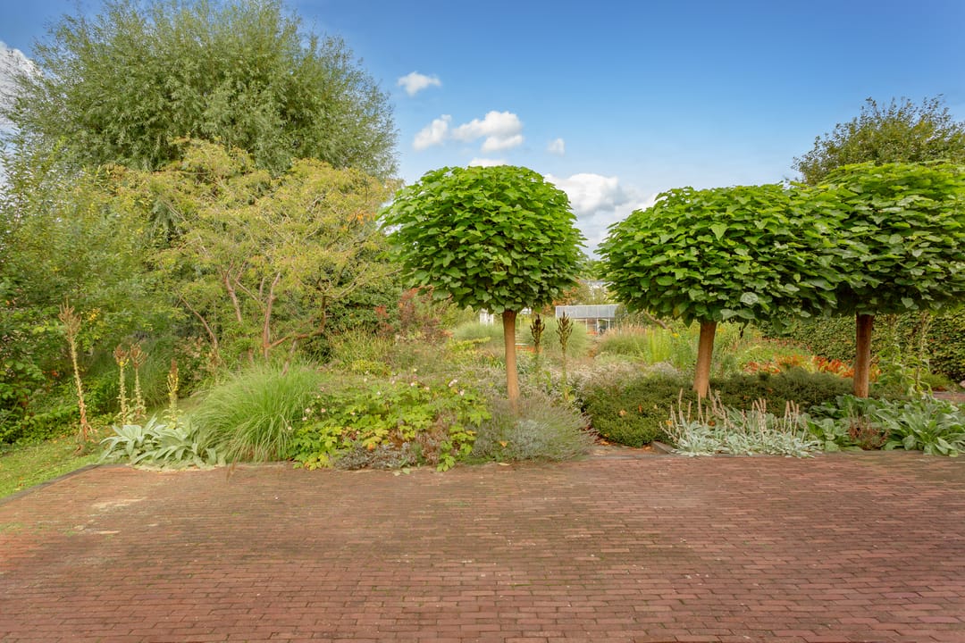 Foto 41 van Jacob Groenplantsoen 1