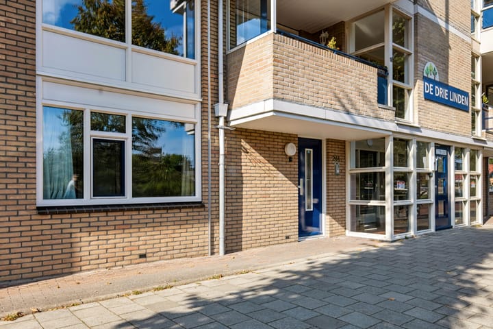 Foto 4 van Brinklaan 244